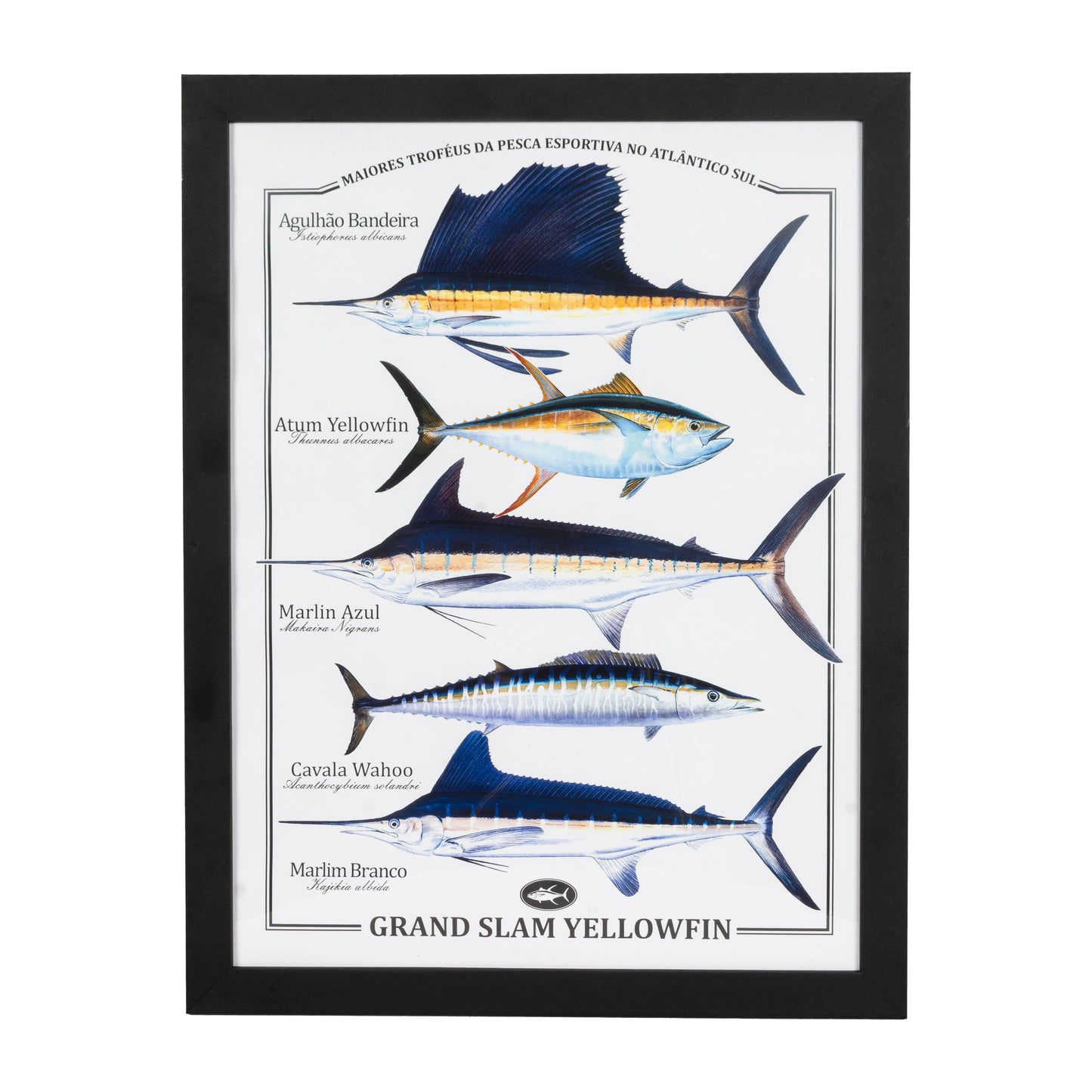Quadro Yellowfin Decorativo Grand Slam 30 X 40 cm