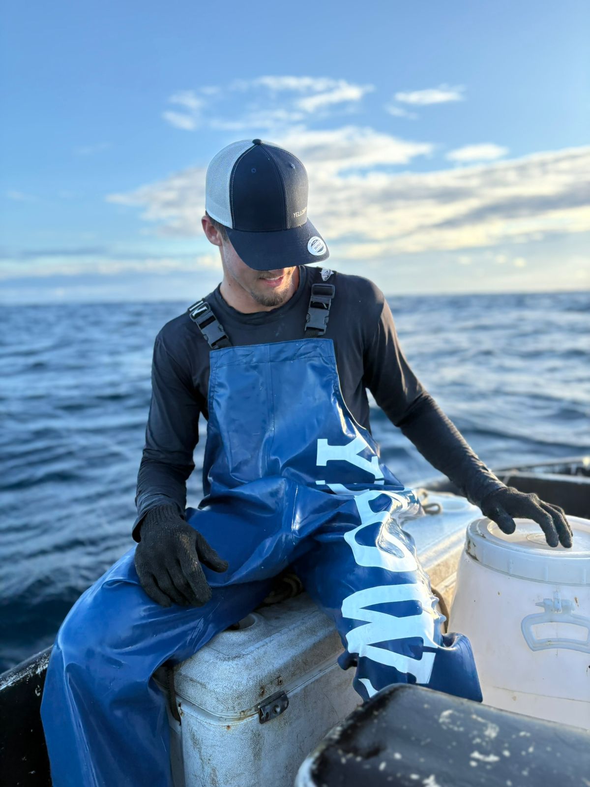 Jardineira Yellowfin Ocean