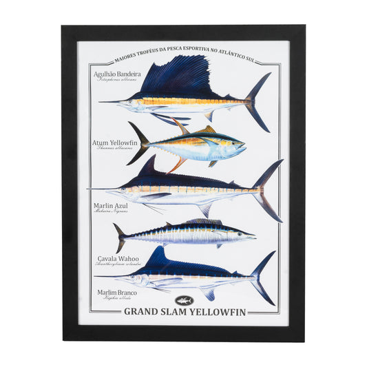 Quadro Yellowfin Decorativo Grand Slam